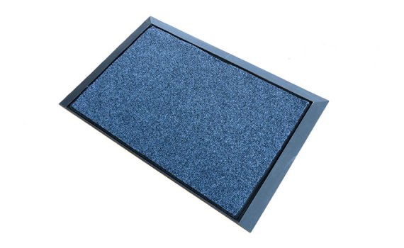 2 in 1 Disinfecting Sanitizing Floor Entrance Mat,Disinfection Doormat  Entry Rug Shoe sanitizer, Shoe Tray for entryway Indoor,Welcome Mat